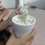 Cree-Mee Drive In