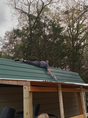 Choppers Tree Trimming And Services Logo