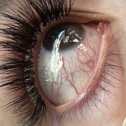 MINI BEAUTY EYELASH - Updated December 2025 - 538 Photos & 177