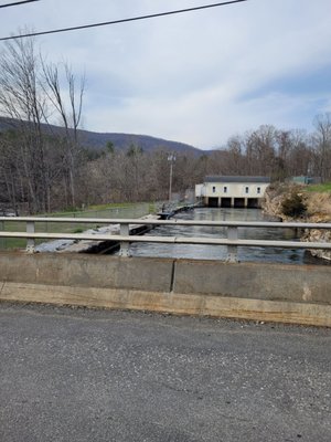 Historic Bulls Covered Bridge by null