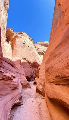 Lake Powell Paddleboards and Kayaks by null