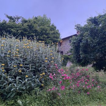 Borgo Corsignano - Wildflowers - Resorts Near Me - Poppi, Arkansas