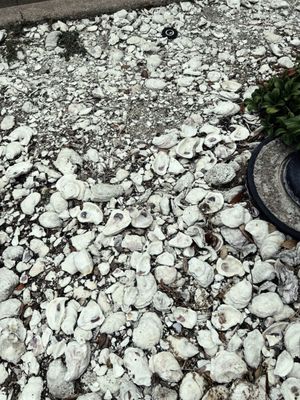 Captain Tom's by null