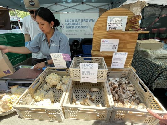 Modesto Certified Farmers' Market by null