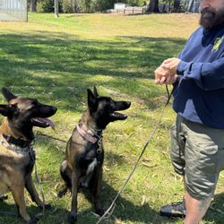 Blue Collar K9s