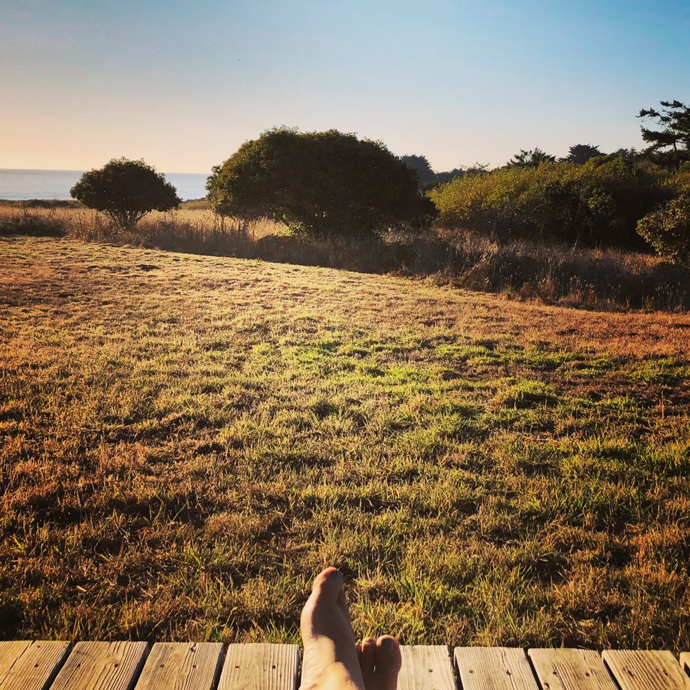 Ocean View Properties - Property Management Near Me - Gualala, California