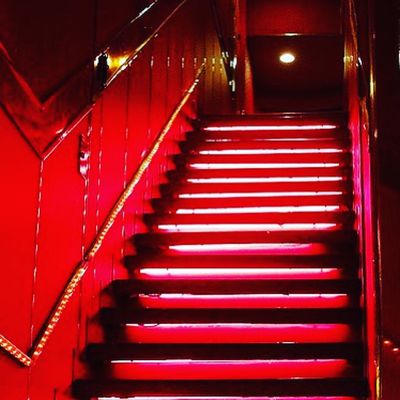 Mandrake Miami by null