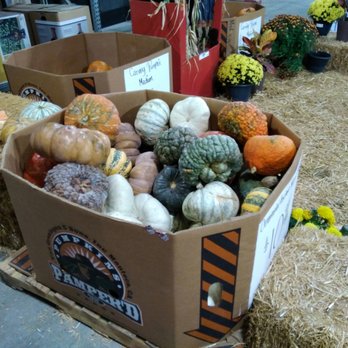 The Home Depot - Nice collection of pumpkins - Hardware Stores Near Me - Victorville, California The Home Depot - Nice collection of pumpkins - Hardware Stores Near Me - Victorville, California