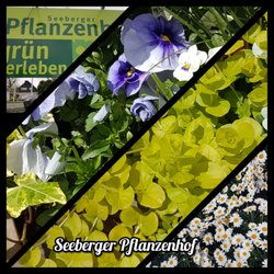 Seeberger Pflanzenhof