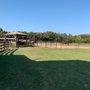 Photo of Trinity Forest Stables