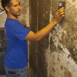 Tri-County All Restorations - HIGH LEVELS OF MOISTURE OBSERVED ON THE WALLS WHERE MICROBIAL GROWTH IS OCCURING