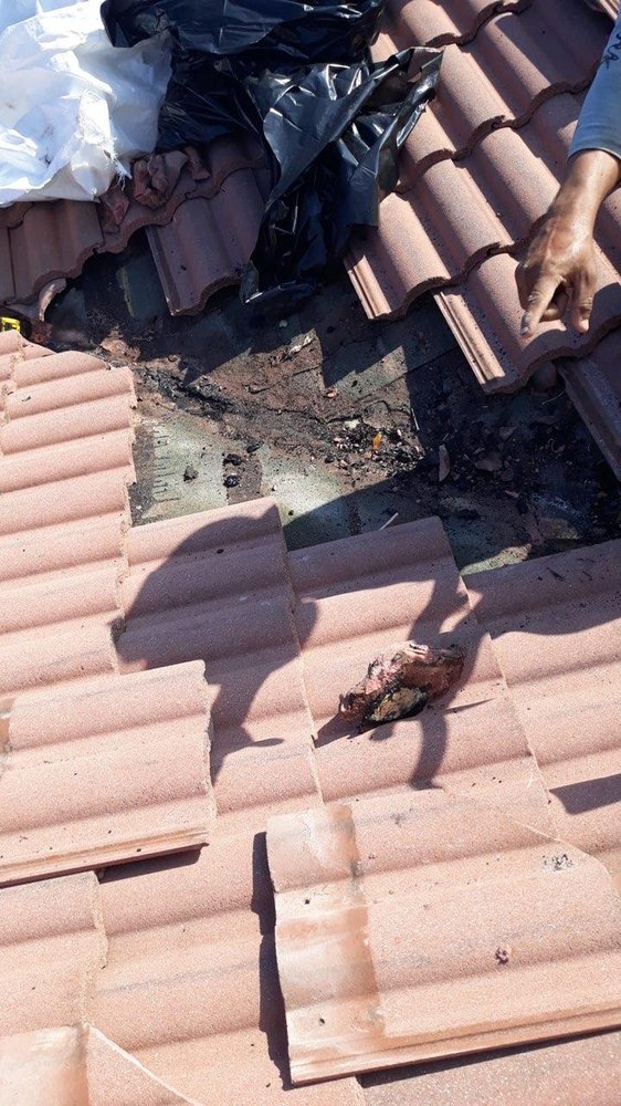 Slide of TK Roofing Contractor Miami