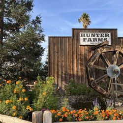 Hunter Farms Pumpkin Patch