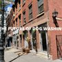 Photo of Now You're Clean West Village
