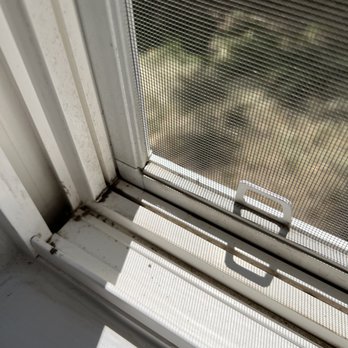 Fish Window Cleaning - Window Washing Near Me - Spokane Valley, Washington Fish Window Cleaning - Window Washing Near Me - Spokane Valley, Washington