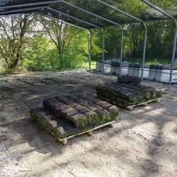 Central Sod Farms - Sod stacked on pallets and kept out of the sun so they don't dry out