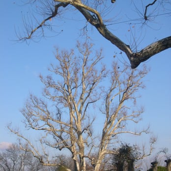Rosensteinpark - Rosensteinpark - Parks Near Me Rosensteinpark - Rosensteinpark - Parks Near Me