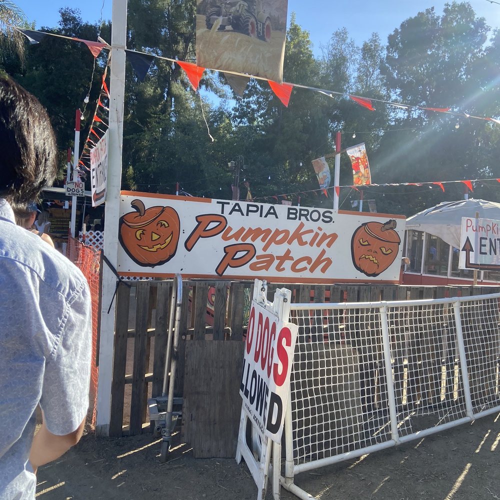 Tapia Bros Farm - Pumpkin Patch - Fruits & Veggies Near Me - Encino, California