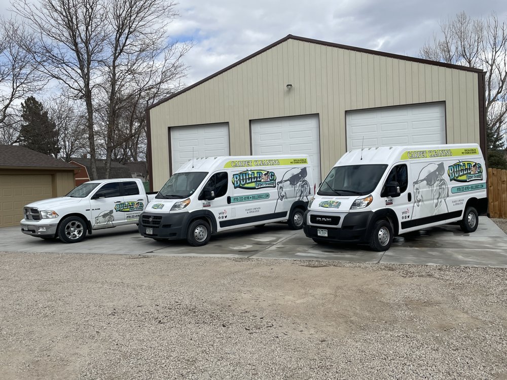 BULLDOG CARPET CLEANING - Updated January 2025 - 22 Photos & 10 Reviews