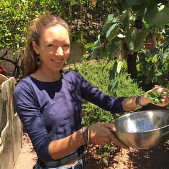 Middlebrook Gardens - French Intern in Regen Agriculture, Louise Daviron harvesting service berries from our tree. - Landscaping Near Me - San Jose, California Middlebrook Gardens - French Intern in Regen Agriculture, Louise Daviron harvesting service berries from our tree. - Landscaping Near Me - San Jose, California