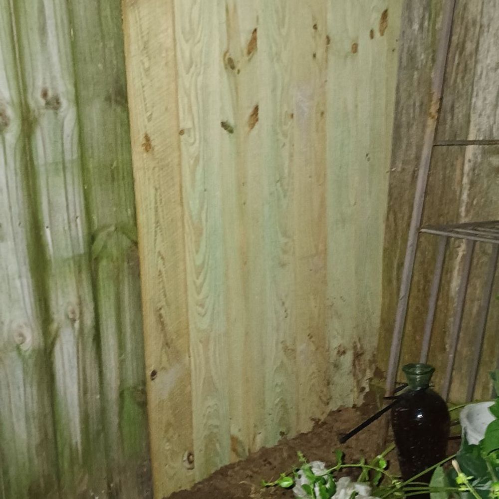 APR Services - They replaced boards that are not in the bid. I was very happy with the finished job. - Landscaping Near Me APR Services - They replaced boards that are not in the bid. I was very happy with the finished job. - Landscaping Near Me
