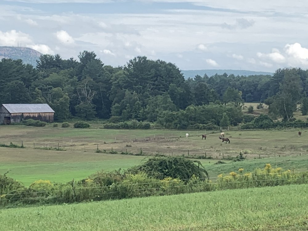 GLENDALE RIDGE VINEYARD 15 Photos & 12 Reviews 155 Glendale Rd