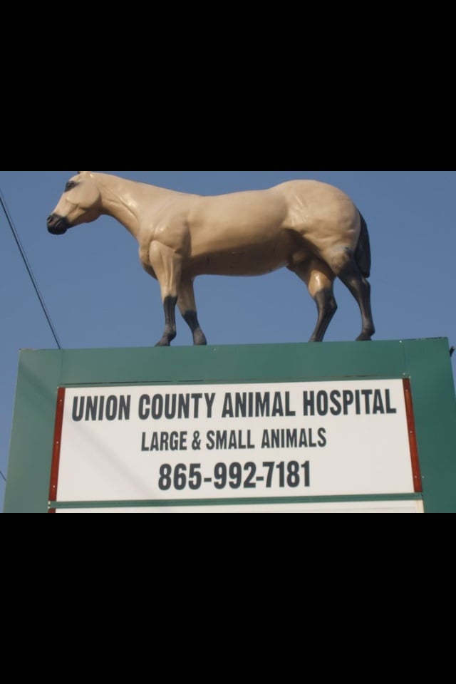 UNION COUNTY ANIMAL HOSPITAL Updated September 2024 596 John Deere