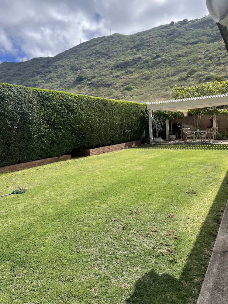 Medina Yard Service  - tree service in Honolulu, HI
