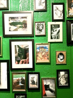 The Aristocrat Lounge by null The Aristocrat Lounge by null