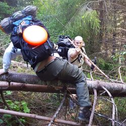 Sinkyone Wilderness State Park - One of MANY fallen trees blocking the trail.