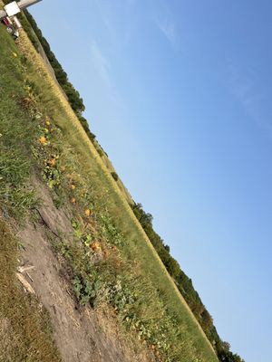 Apple Jack Orchards by null