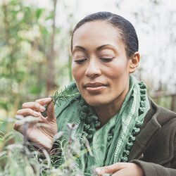 Four Seasons Harmony - We offer Holistic Health, Ayurvedic and Clinical Herbal Medicine services that reflect living in harmony with nature.