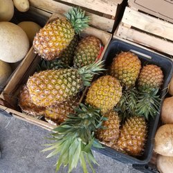 Frutas Baca
