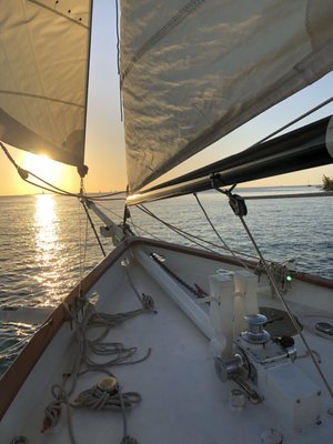 Schooner Spirit of Independence by null