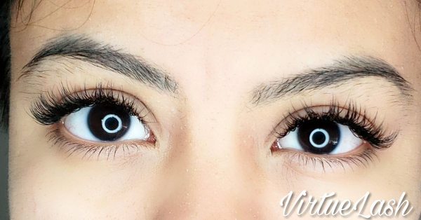 Virtue Lash by null