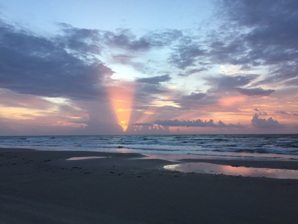 padre island national seashore reviews