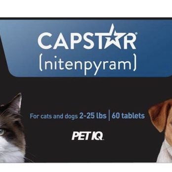 Petco - Proof the old box had both cats and dogs - Pet Stores Near Me - Annandale, Virginia