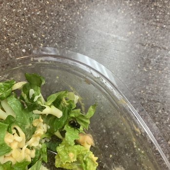 Wendy's - MY SALAD TODAY!! There was a DEAD BLACK BUG WITH WINGS IN IT!!! DO NOT EAT AT THIS LOCATION!!! It's disgusting! I feel sick to my stomach. - Fast Food Near Me - Roslindale, Massachusetts Wendy's - MY SALAD TODAY!! There was a DEAD BLACK BUG WITH WINGS IN IT!!! DO NOT EAT AT THIS LOCATION!!! It's disgusting! I feel sick to my stomach. - Fast Food Near Me - Roslindale, Massachusetts