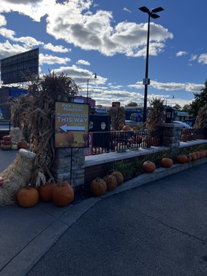 Wegmans by null