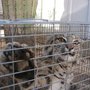 Photo of Critter Getter Pest Control