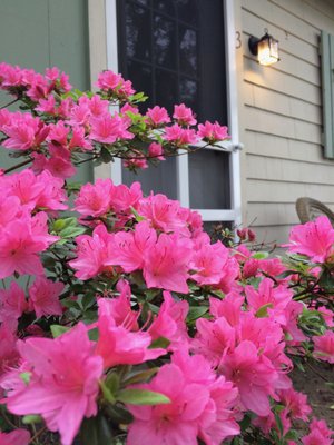 Beech Tree Cottages 27 Photos Vacation Rentals 1187 Boston