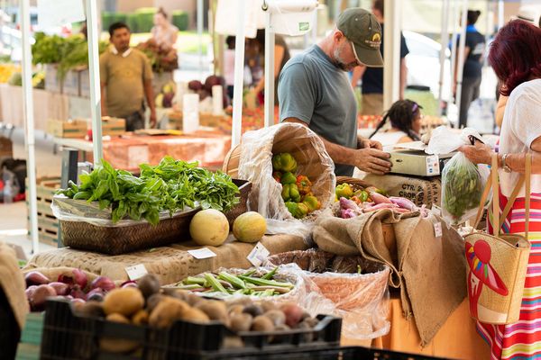Oak Park Farmers Market by null