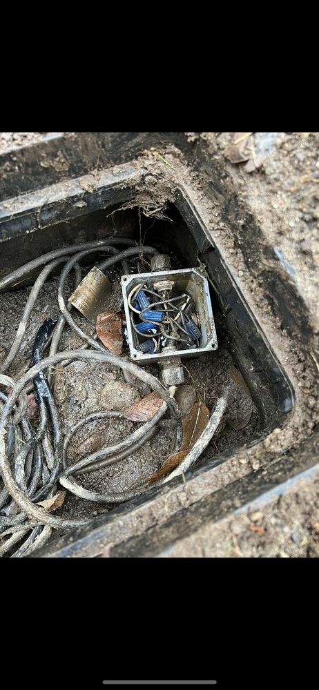 Slide of Septic Response