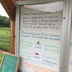 Mountain View Farm