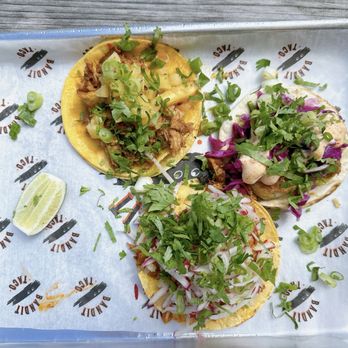 Bandit Taco - Adobo Chicken Taco Al Pastor Taco Crispy Shrimp Taco - Mexican Near Me - Washington, DC, District of Columbia Bandit Taco - Adobo Chicken Taco Al Pastor Taco Crispy Shrimp Taco - Mexican Near Me - Washington, DC, District of Columbia