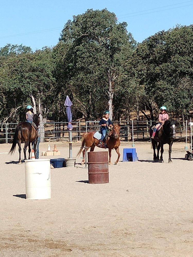 Healing Pastures At C Horse Ranch Logo