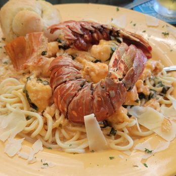 The Catch - Sports Bars Near Me - Key Largo, Florida