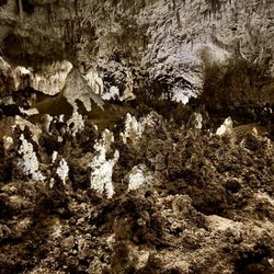 Carlsbad Caverns National Park - Fairy Land