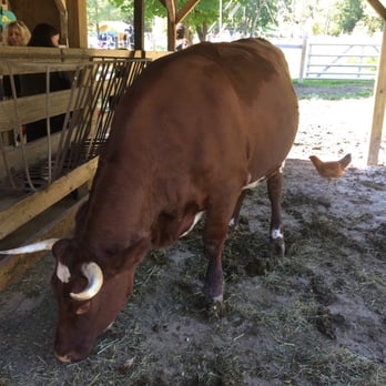 Benner's Farm - Venues & Event Spaces Near Me - East Setauket, New York