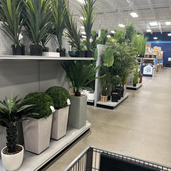 At Home - Plants - Home Decor Near Me - Burnsville, Minnesota At Home - Plants - Home Decor Near Me - Burnsville, Minnesota